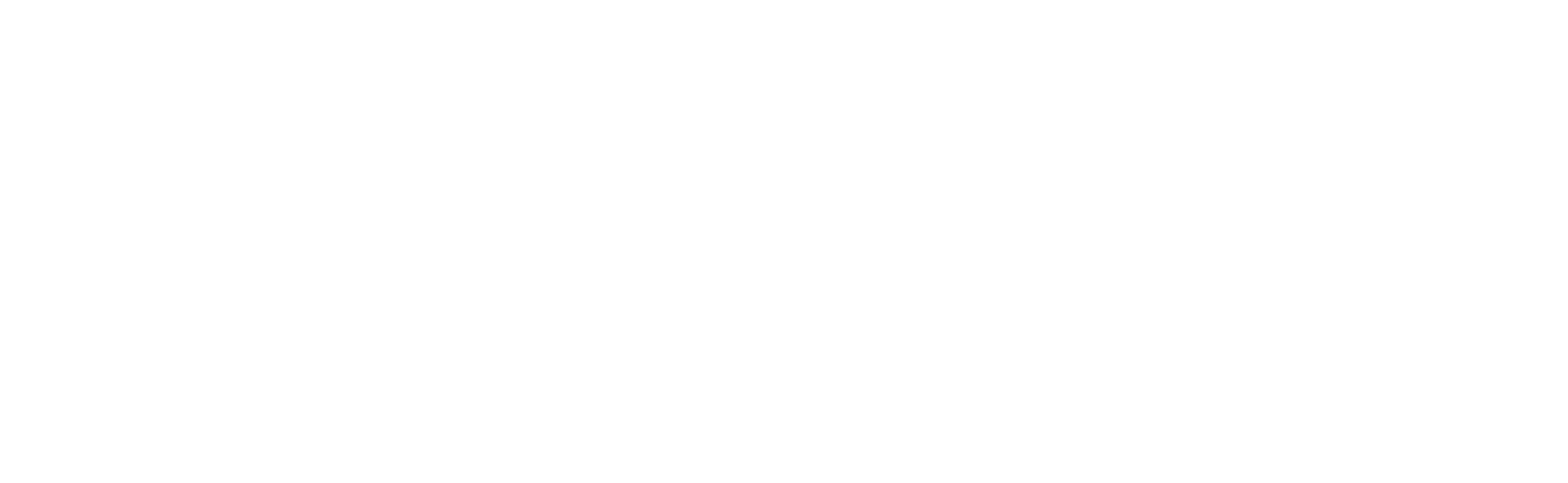 NexMark Logo